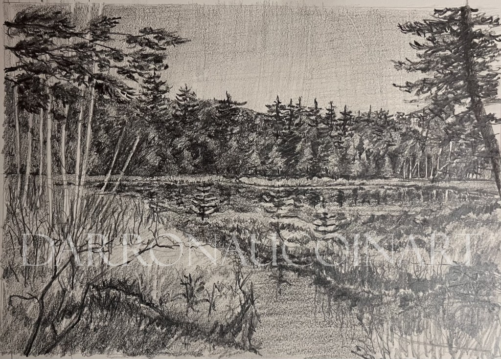 A detailed pencil sketch depicting a serene landscape with trees and a water body, showcasing tonal values of light and dark.