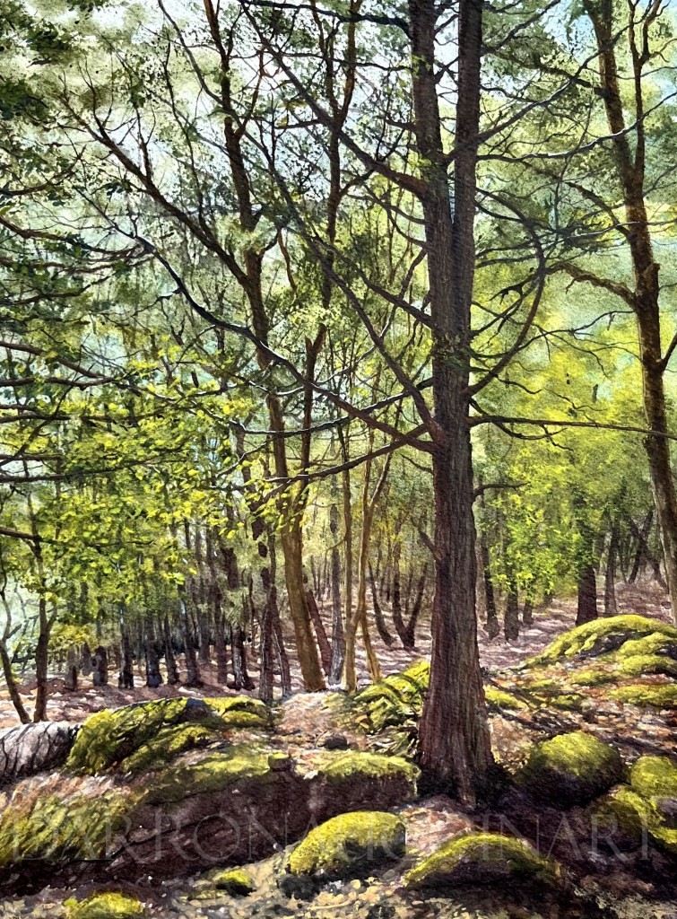 Watercolour painting depicting a serene forest scene with tall trees, soft green foliage, and patches of moss-covered rocks.
