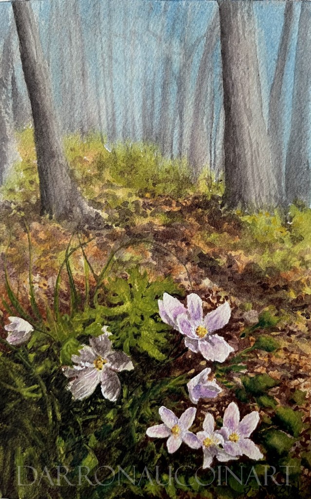A watercolor painting depicting a tranquil forest scene, featuring several white and purple flowers in the foreground, surrounded by greenery and tall trees in the background.