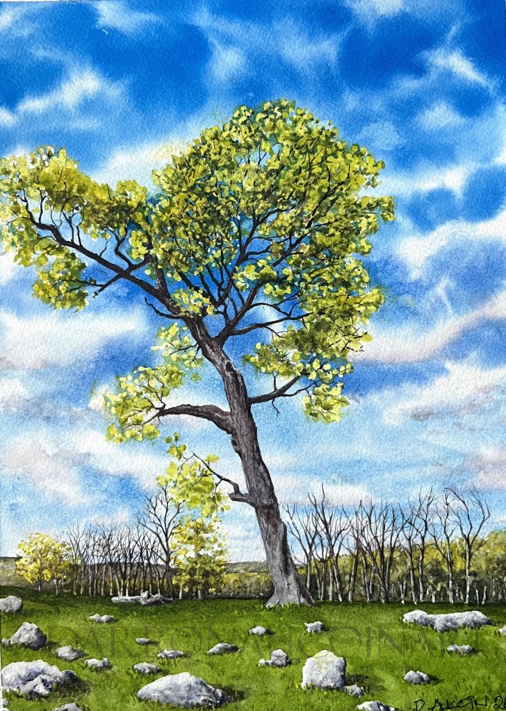 Watercolour painting of a large tree with vibrant green leaves against a blue sky, surrounded by rocks and a grassy field.